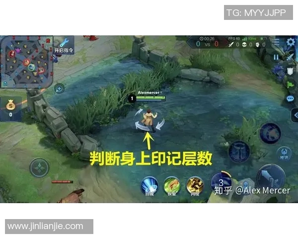 热议王者荣耀IG灵活性变革与S15赛季LOL游戏策略的深度分析